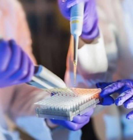 Учени на работа в лаборатория, държащи пипета, докато пълнят епруветки